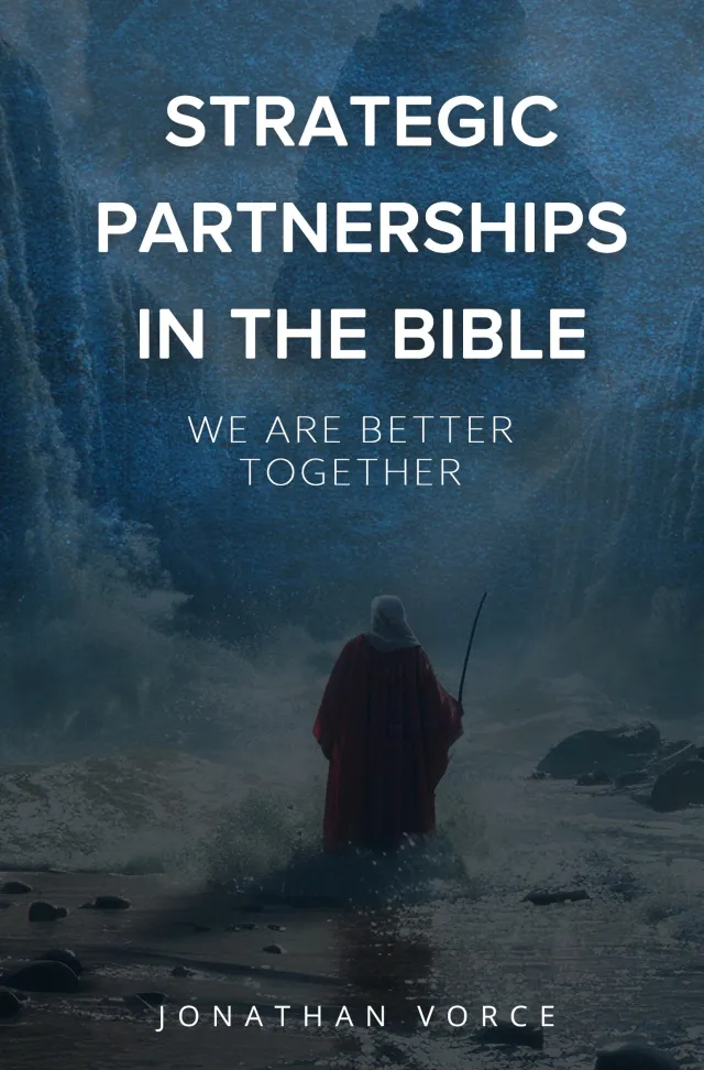Strategic Partnerships in the Bible book cover