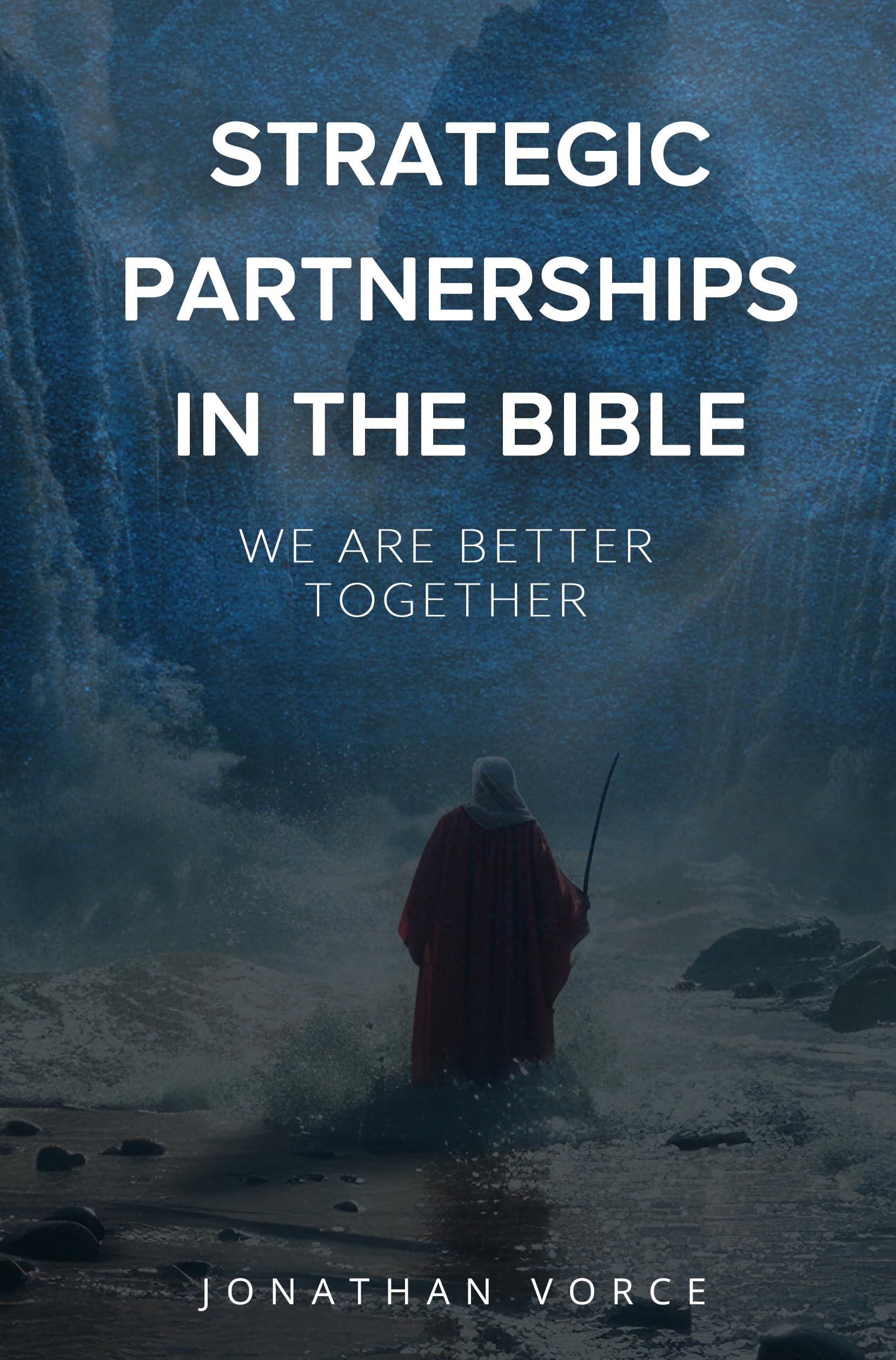 Strategic Partnerships in the Bible book cover